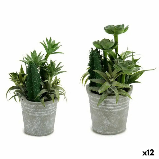 Decorative Plant Ibergarden Plastic Cement 15 x 24 x 15 cm (12 Units) - Декорация и Осветление<<<Дом