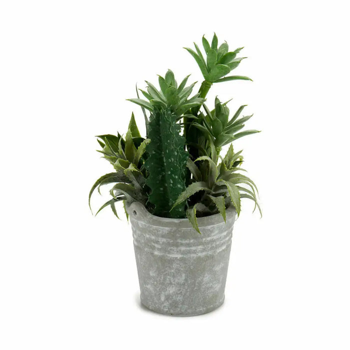 Decorative Plant Ibergarden Plastic Cement 15 x 24 x 15 cm (12 Units) - Декорация и Осветление<<<Дом