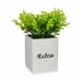 Decorative Plant Ibergarden Plastic Cement Sheets Small 13 x 18 x 13 cm (6 Units) - Декорация и Осветление<<<Дом