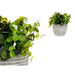 Decorative Plant Ibergarden Plastic Flowers 20 x 20,5 x 20 cm (8 Units) - Декорация и Осветление<<<Дом