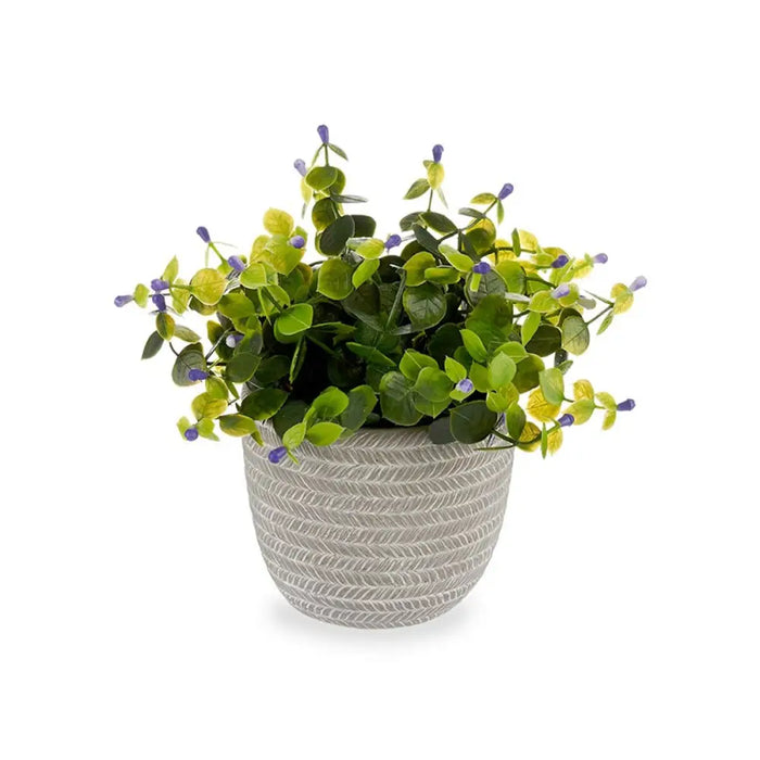 Decorative Plant Ibergarden Plastic Flowers 21 x 20,6 x 21 cm (8 Units) - Декорация и Осветление<<<Дом