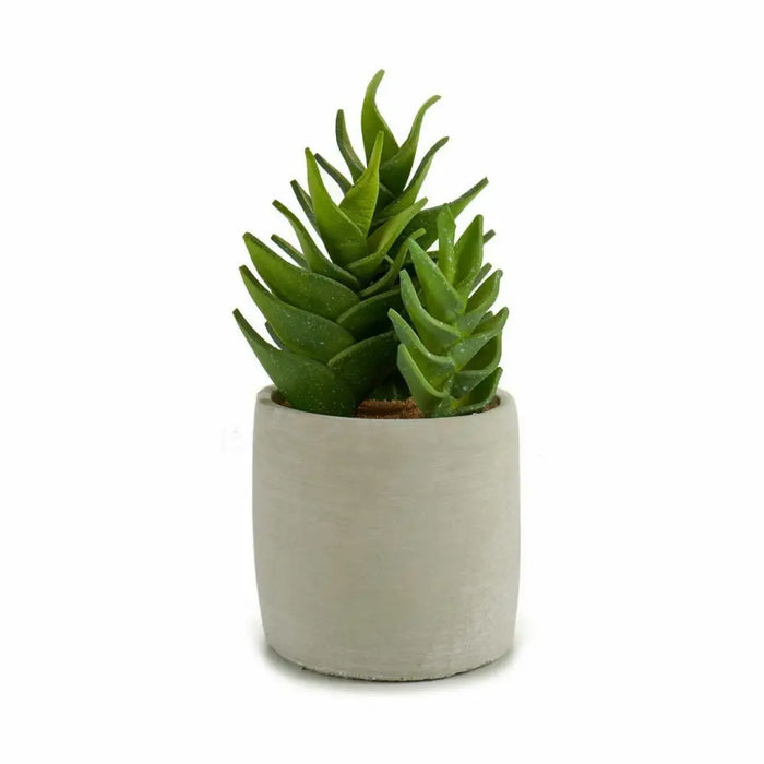 Decorative Plant Ibergarden Plastic Succulent 12 x 24 x 12 cm (6 Units) - Декорация и Осветление<<<Дом