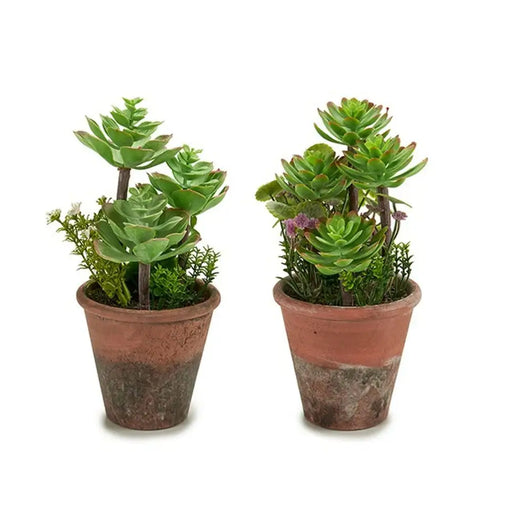 Decorative Plant Ibergarden Plastic Succulent 16 x 23 x 16 cm (12 Units) - Декорация и Осветление<<<Дом
