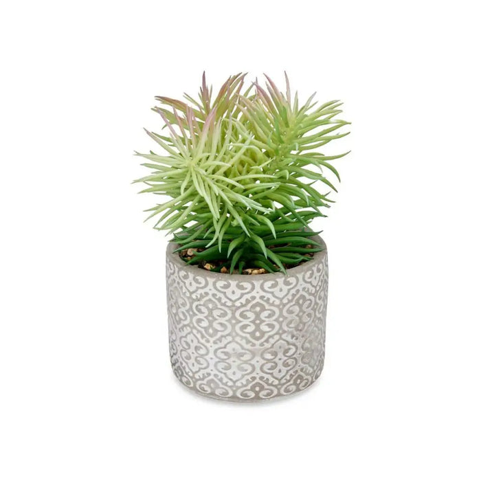 Decorative Plant Ibergarden Wood Polyethylene Plastic Cement Succulent 12 x 22 x 12 cm (8 Units) - Декорация и