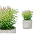 Decorative Plant Ibergarden Wood Polyethylene Plastic Cement Succulent 12 x 22 x 12 cm (8 Units) - Декорация и