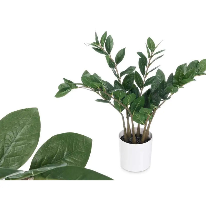 Decorative Plant Ibergarden ZAMIOCULCA Polyethylene Melamin 53 x 55 x 53 cm (6 Units) - Декорация и Осветление<<<Дом