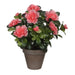 Decorative Plant Mica Decorations 11,5 x 27 x 20 cm - Декорация и Осветление<<<Дом Градина<<<BigBuy&&&Други артикули за