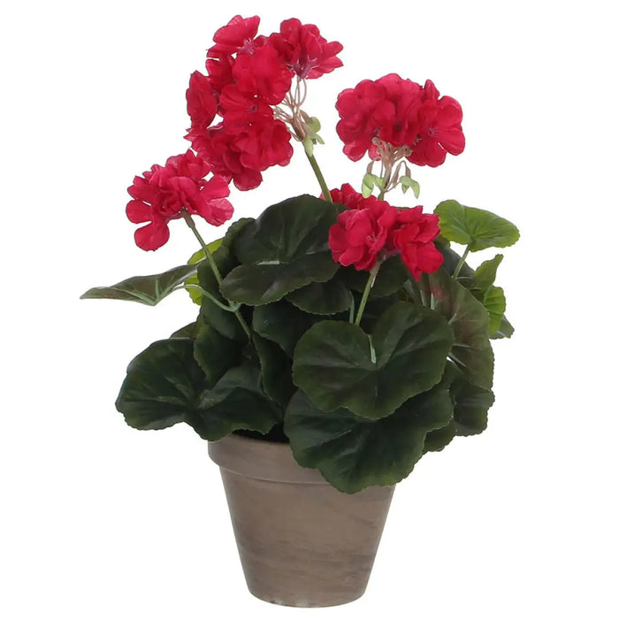Decorative Plant Mica Decorations 11,5 x 33 cm Pink PVC - Декорация и Осветление<<<Дом Градина<<<BigBuy&&&Други