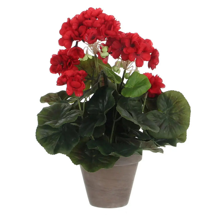 Decorative Plant Mica Decorations PVC 11,5 x 33 cm - Декорация и Осветление<<<Дом Градина<<<BigBuy&&&Други артикули за