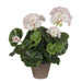 Decorative Plant Mica Decorations PVC Geranium (11,5 x 33 cm) - Декорация и Осветление<<<Дом Градина<<<BigBuy&&&Други