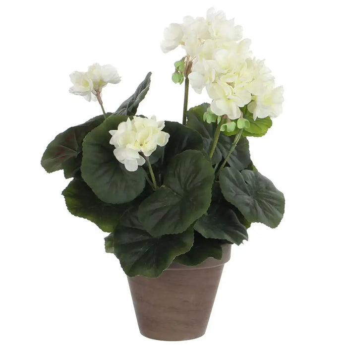 Decorative Plant Mica Decorations PVC Geranium - Декорация и Осветление<<<Дом Градина<<<BigBuy&&&Други артикули за