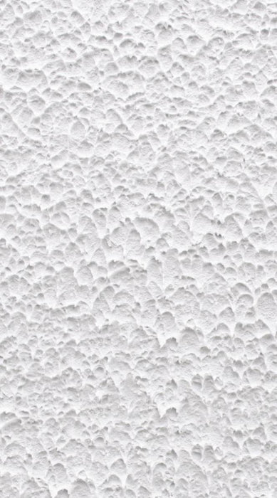 PLASTER DEKOPro EMBOSSED 5KG WHITE