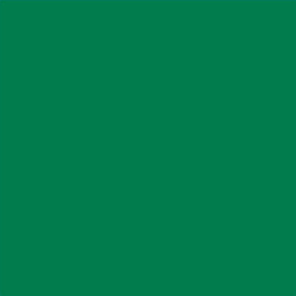 EXTRA ALKYD PAINT 650 ML RAL 6032 DEKORATOR