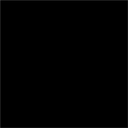 EXTRA ALKYD PAINT 650 ML RAL 9005 DEKORATOR