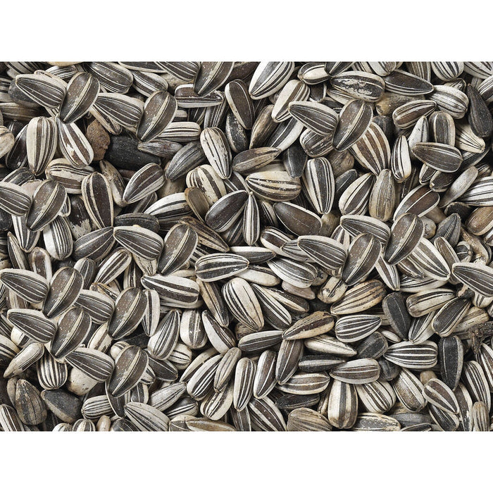 Bird food Deli Nature Premium 2,5 kg