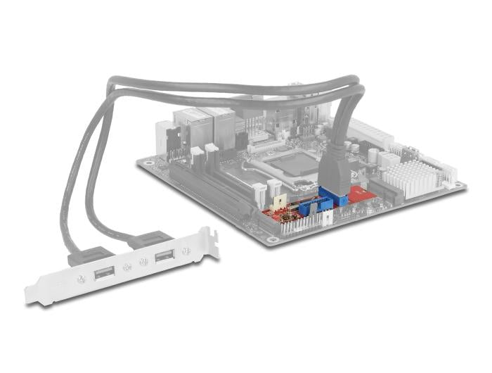 Delock adapter, M.2 Key B+M male to 2 x USB 5 Gbps Pin Header