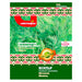 DILL SEEDS LOCAL BULGARIAN SEEDS - Семена<<<Семена луковици и разсад<<<Градина<<<Praktiker