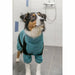 Dog bathrobe Trixie Blue XS - Домашни Животни<<<Дом Градина<<<BigBuy&&&Здраве и хигиена<<<Домашни Животни<<<Дом