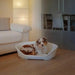 Dog Bed Ferplast - Домашни Животни<<<Дом Градина<<<BigBuy&&&Къщички и легълца<<<Домашни Животни<<<Дом Градина<<<BigBuy