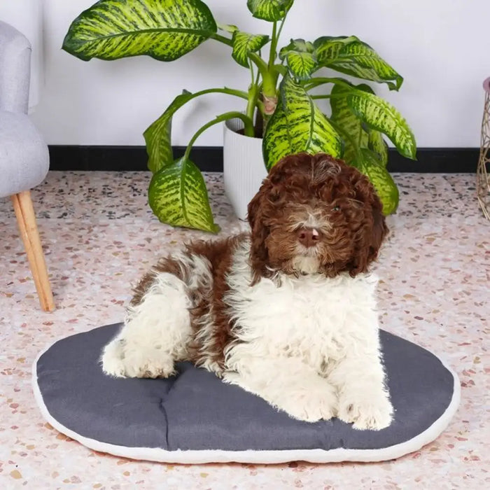Dog Bed Ferplast - Домашни Животни<<<Дом Градина<<<BigBuy&&&Къщички и легълца<<<Домашни Животни<<<Дом Градина<<<BigBuy
