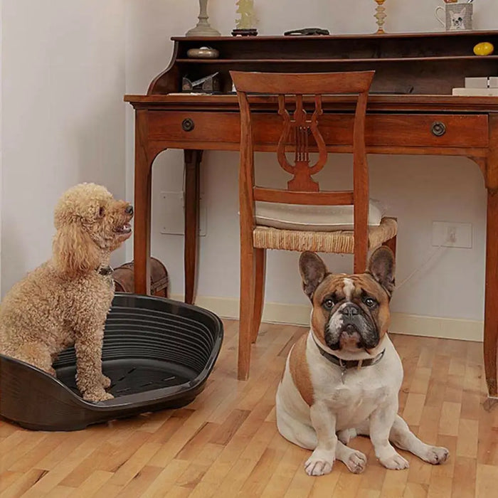 Dog Bed Ferplast Siesta Deluxe 6 Black 70,5 x 52 x 23,5 cm - Домашни Животни<<<Дом Градина<<<BigBuy&&&Къщички и