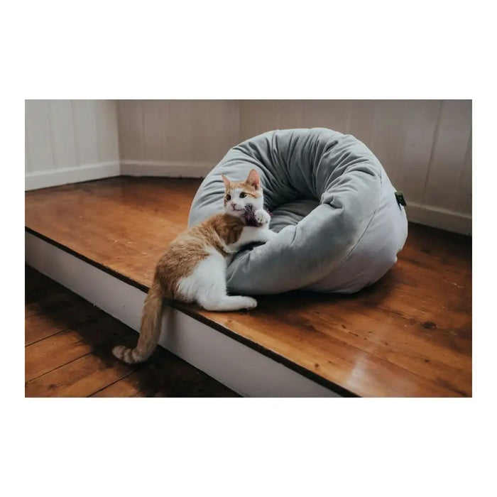 Dog Bed Hunter MIRANDA Anthracite 50 x 50 cm - Домашни Животни<<<Дом Градина<<<BigBuy&&&Къщички и легълца<<<Домашни