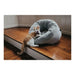 Dog Bed Hunter MIRANDA Anthracite 50 x 50 cm - Домашни Животни<<<Дом Градина<<<BigBuy&&&Къщички и легълца<<<Домашни