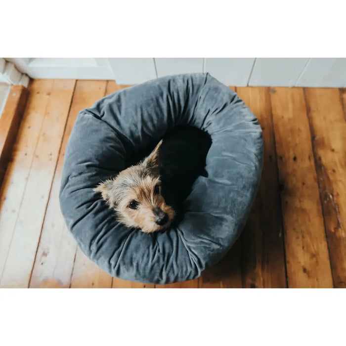 Dog Bed Hunter Miranda Grey 50 x 50 cm - Домашни Животни<<<Дом Градина<<<BigBuy&&&Къщички и легълца<<<Домашни
