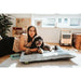 Dog Bed Hunter Rockford Grey 120 x 80 cm - Домашни Животни<<<Дом Градина<<<BigBuy&&&Къщички и легълца<<<Домашни