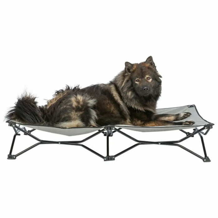Dog Bed Trixie Black Beige - Домашни Животни<<<Дом Градина<<<BigBuy&&&Къщички и легълца<<<Домашни Животни<<<Дом