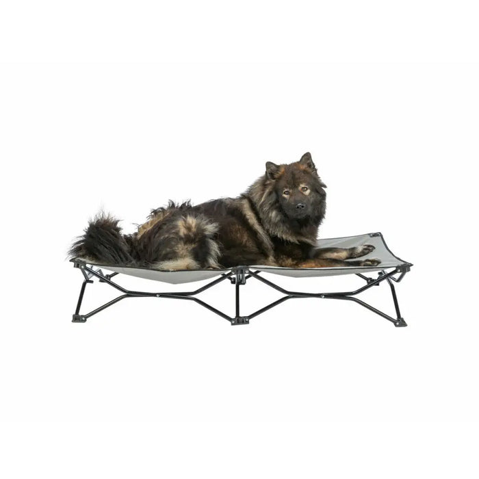 Dog Bed Trixie Black Beige - Домашни Животни<<<Дом Градина<<<BigBuy&&&Къщички и легълца<<<Домашни Животни<<<Дом