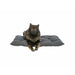 Dog Bed Trixie Dark grey 78 x 60 cm - Домашни Животни<<<Дом Градина<<<BigBuy&&&Къщички и легълца<<<Домашни