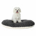 Dog Bed Trixie Kaline Grey Cream 44 x 31 cm - Домашни Животни<<<Дом Градина<<<BigBuy&&&Къщички и легълца<<<Домашни