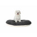 Dog Bed Trixie Kaline Grey Cream - Домашни Животни<<<Дом Градина<<<BigBuy&&&Къщички и легълца<<<Домашни Животни<<<Дом