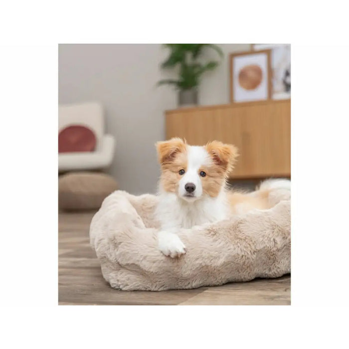 Dog Bed Trixie Sand 120 × 80 CM - Домашни Животни<<<Дом Градина<<<BigBuy&&&Къщички и легълца<<<Домашни Животни<<<Дом