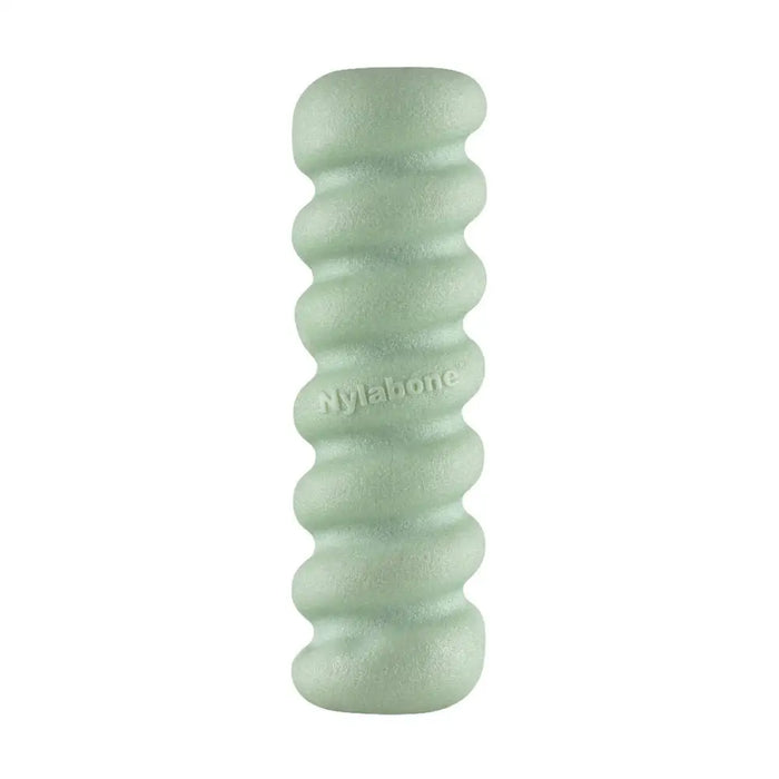 Dog chewing toy Nylabone SENSORY TACTILE STICK Green Peanut butter Bacon S - Домашни Животни<<<Дом