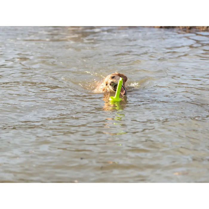 Dog chewing toy Trixie 29 cm - Домашни Животни<<<Дом Градина<<<BigBuy&&&Играчки<<<Домашни Животни<<<Дом Градина<<<BigBuy