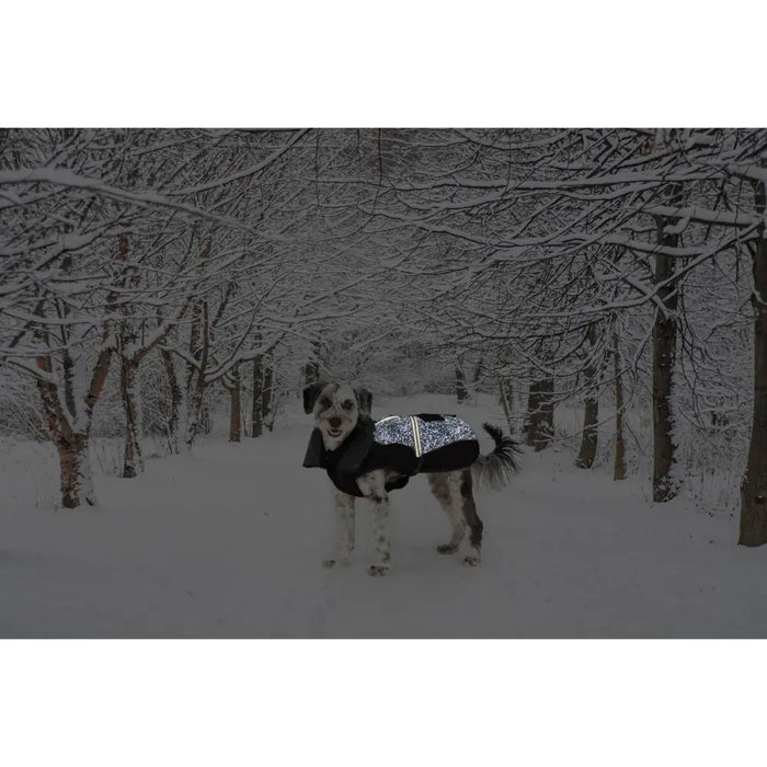 Dog Coat Dog Gone Smart Black 50 cm - Домашни Животни<<<Дом Градина<<<BigBuy&&&Пътуване и разходки<<<Домашни
