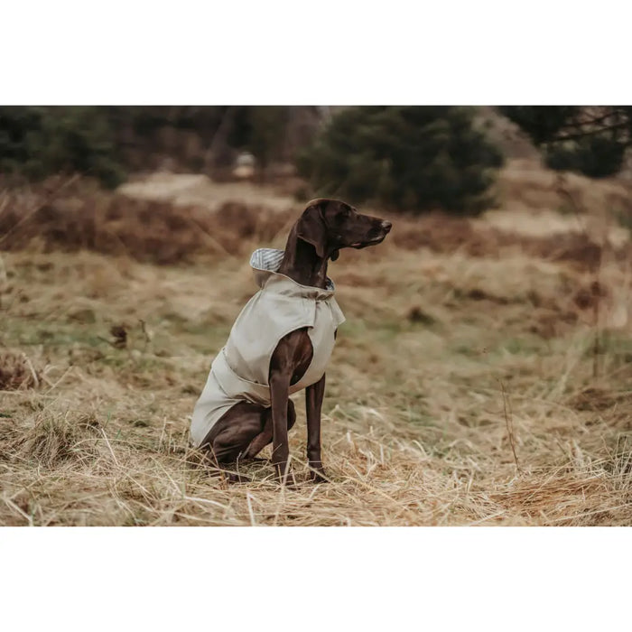 Dog Coat Hunter Milford Beige 35 cm - Домашни Животни<<<Дом Градина<<<BigBuy&&&Пътуване и разходки<<<Домашни