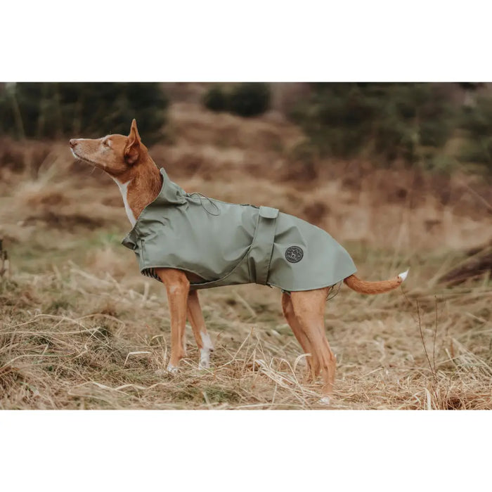 Dog Coat Hunter Milford Green 50 cm - Домашни Животни<<<Дом Градина<<<BigBuy&&&Пътуване и разходки<<<Домашни
