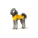 Dog Coat Hunter Milford Yellow 25 cm - Домашни Животни<<<Дом Градина<<<BigBuy&&&Пътуване и разходки<<<Домашни