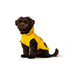 Dog Coat Hunter Milford Yellow 30 cm - Домашни Животни<<<Дом Градина<<<BigBuy&&&Пътуване и разходки<<<Домашни