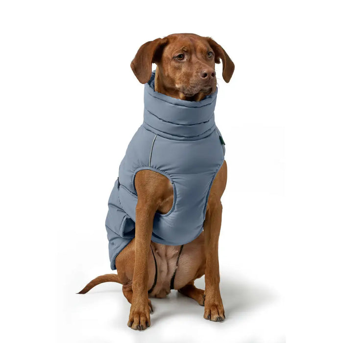 Dog Coat Hunter PAXSON Blue 30 - Домашни Животни<<<Дом Градина<<<BigBuy&&&Пътуване и разходки<<<Домашни Животни<<<Дом