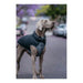 Dog Coat Red Dingo Puffer Black/Grey 35 cm - Домашни Животни<<<Дом Градина<<<BigBuy&&&Пътуване и разходки<<<Домашни
