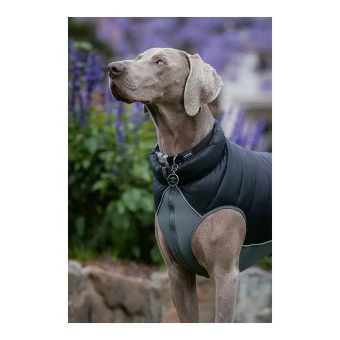 Dog Coat Red Dingo Puffer Black/Grey 55 cm - Домашни Животни<<<Дом Градина<<<BigBuy&&&Пътуване и разходки<<<Домашни