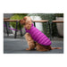 Dog Coat Red Dingo Puffer Pink/Purple 25 cm - Домашни Животни<<<Дом Градина<<<BigBuy&&&Пътуване и разходки<<<Домашни