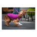 Dog Coat Red Dingo Puffer Pink/Purple 35 cm - Домашни Животни<<<Дом Градина<<<BigBuy&&&Пътуване и разходки<<<Домашни