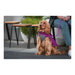 Dog Coat Red Dingo Puffer Pink/Purple 35 cm - Домашни Животни<<<Дом Градина<<<BigBuy&&&Пътуване и разходки<<<Домашни