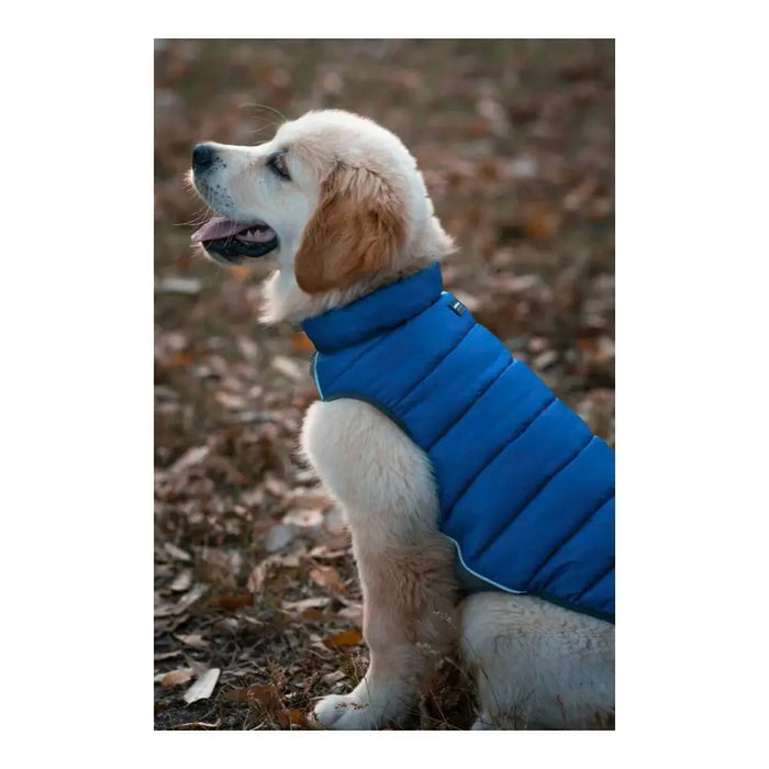 Dog Coat Red Dingo Puffer Turquoise 25 cm - Домашни Животни<<<Дом Градина<<<BigBuy&&&Пътуване и разходки<<<Домашни