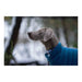 Dog Coat Red Dingo Puffer Turquoise 25 cm - Домашни Животни<<<Дом Градина<<<BigBuy&&&Пътуване и разходки<<<Домашни